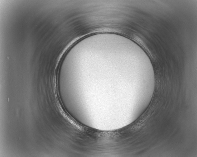 X0000060741092200512011413