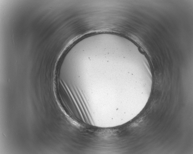 X0000060741093200512011413