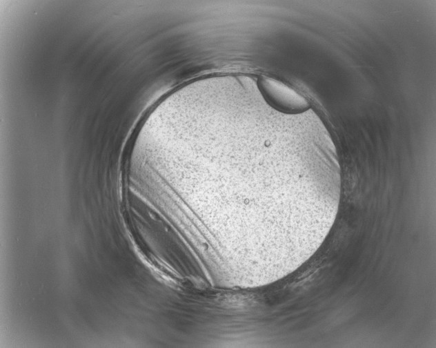 X0000060741095200512011413