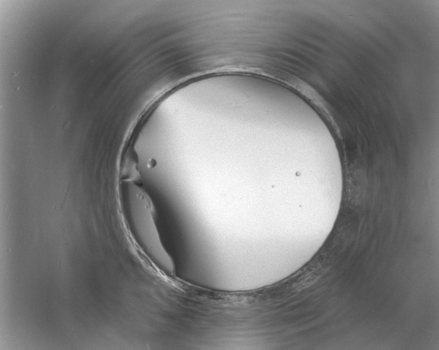 X0000060741096200512011413