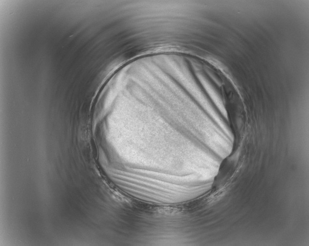 X0000060741097200512011413