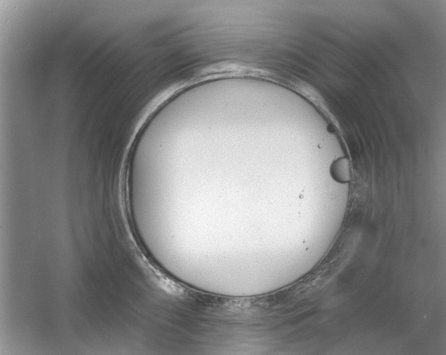 X0000060741098200512011413