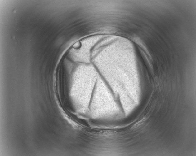 X0000060741099200512011413