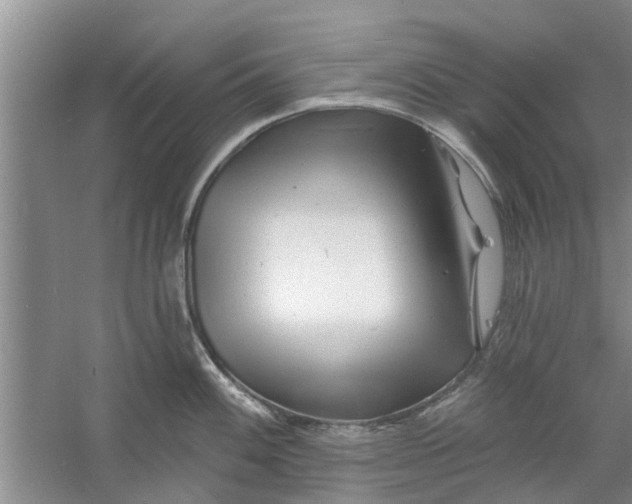 X0000060741100200512011413