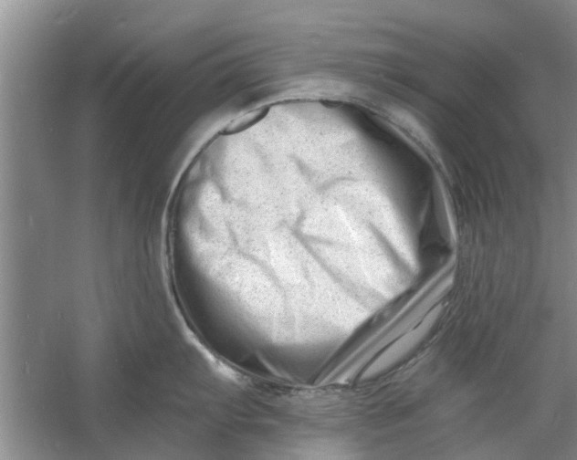 X0000060741103200512011413