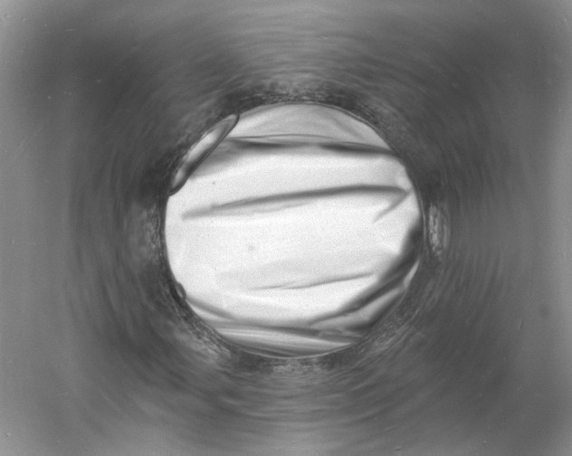 X0000060741107200512011412