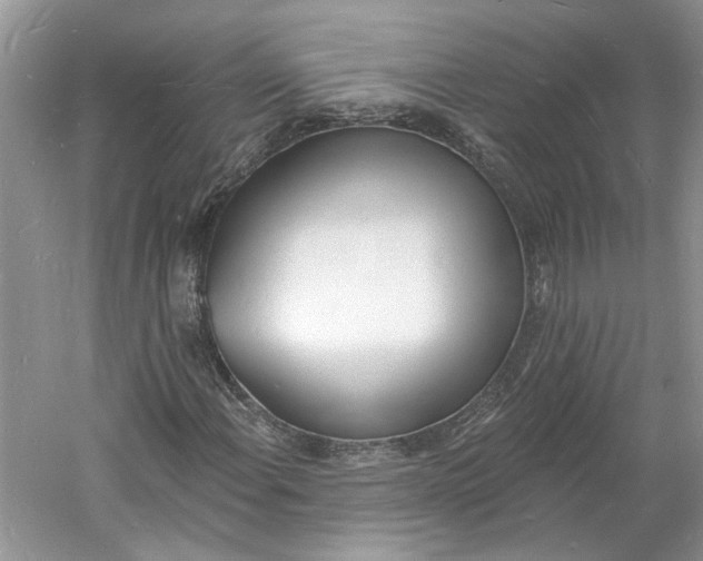 X0000060741108200512011412