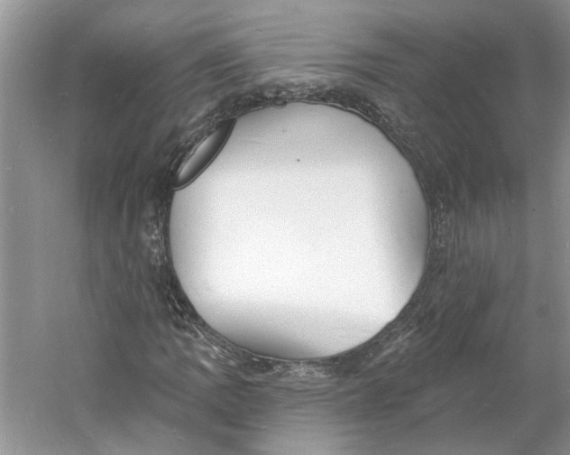 X0000060741109200512011412