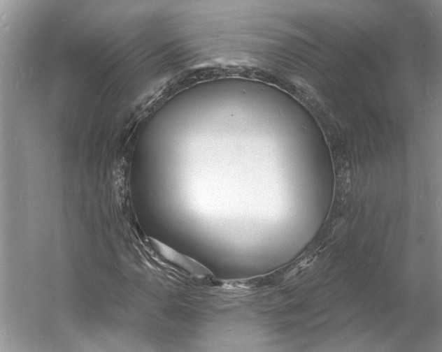 X0000060741110200512011412