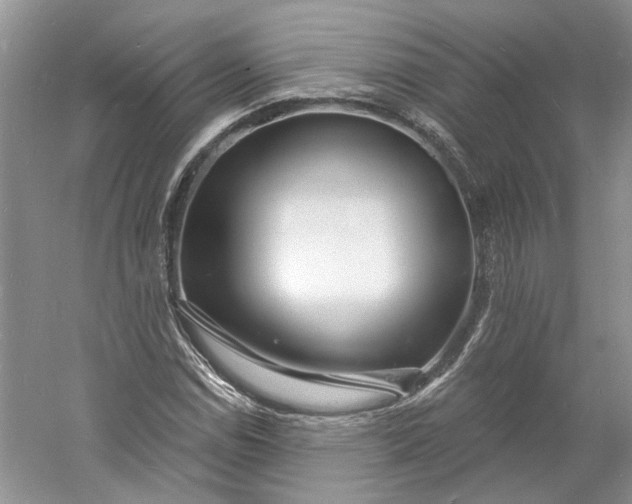 X0000060741114200512011412