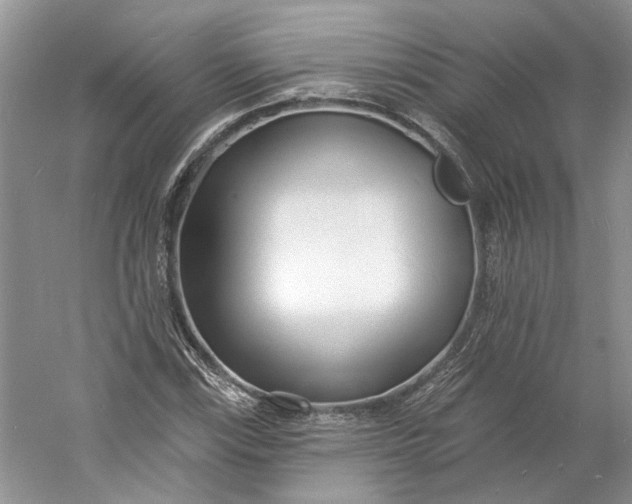 X0000060741115200512011412