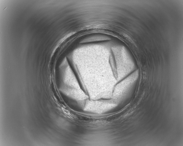 X0000060741117200512011412