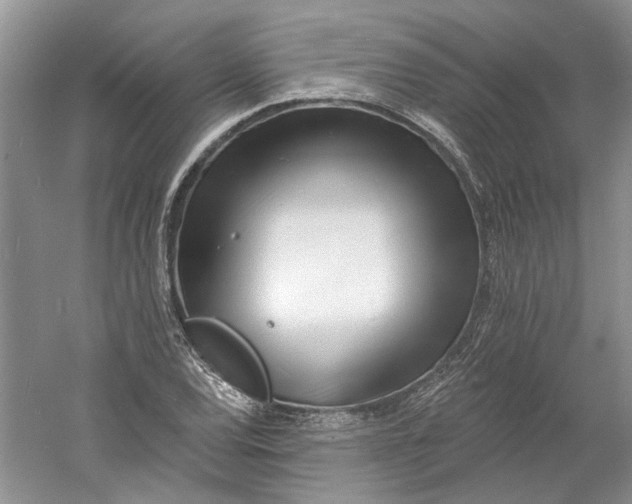 X0000060741120200512011412