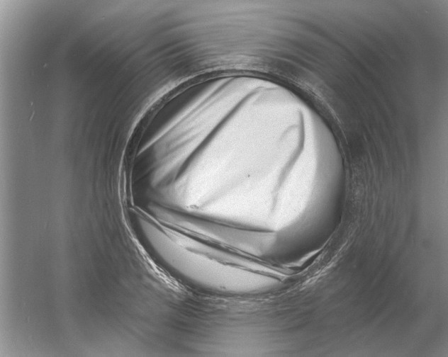 X0000060741125200512011412