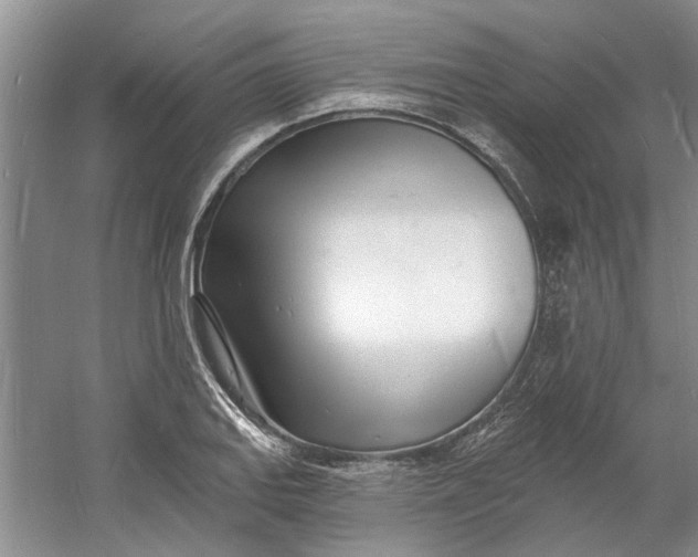 X0000060741127200512011413