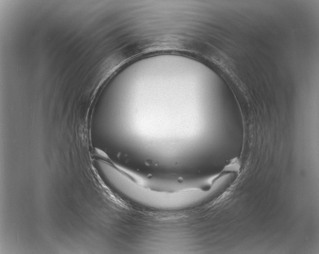 X0000060741129200512011413