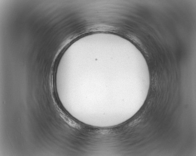 X0000060741130200512011413