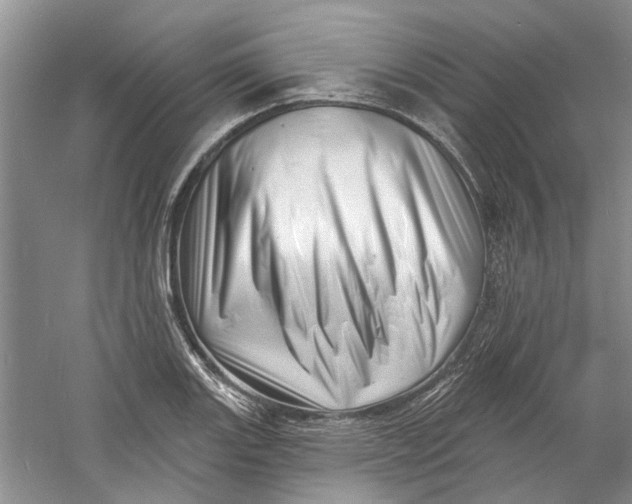 X0000060741131200512011413