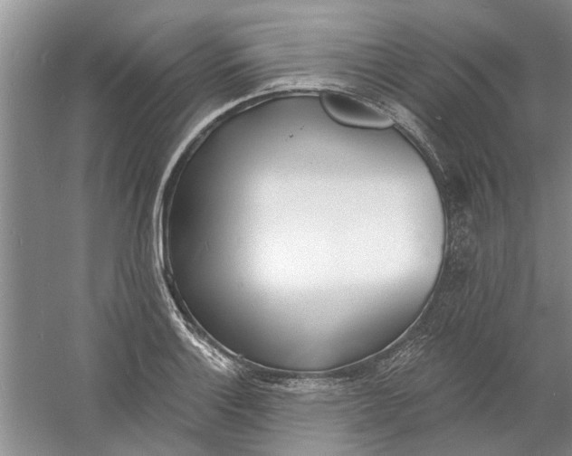 X0000060741132200512011413