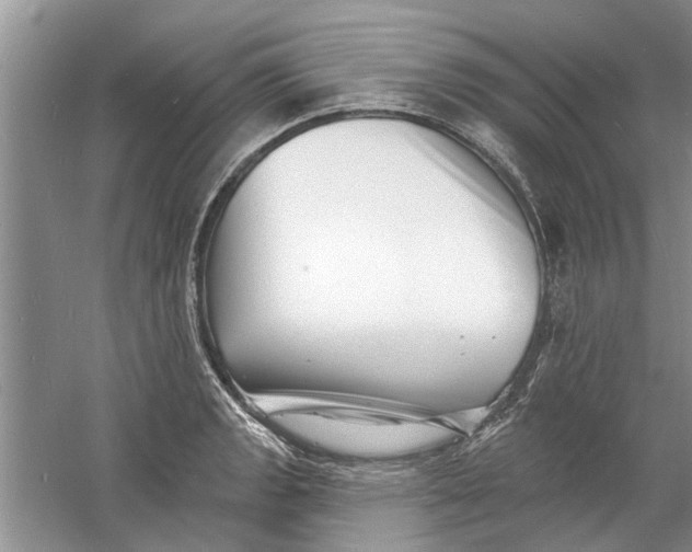 X0000060741133200512011413