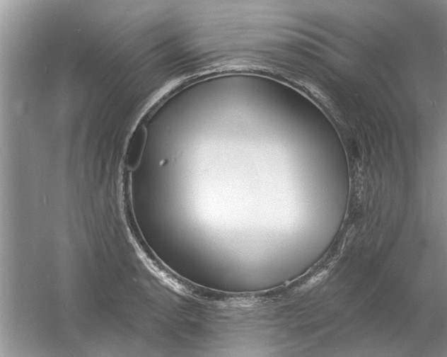 X0000060741134200512011413