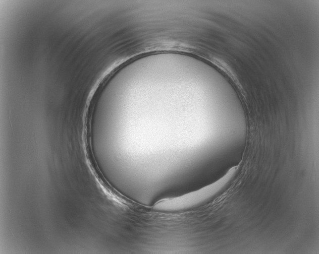 X0000060741136200512011413