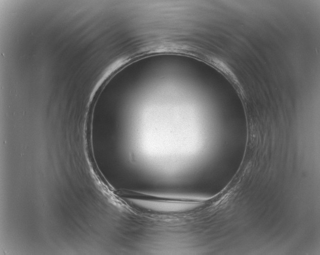 X0000060741138200512011413