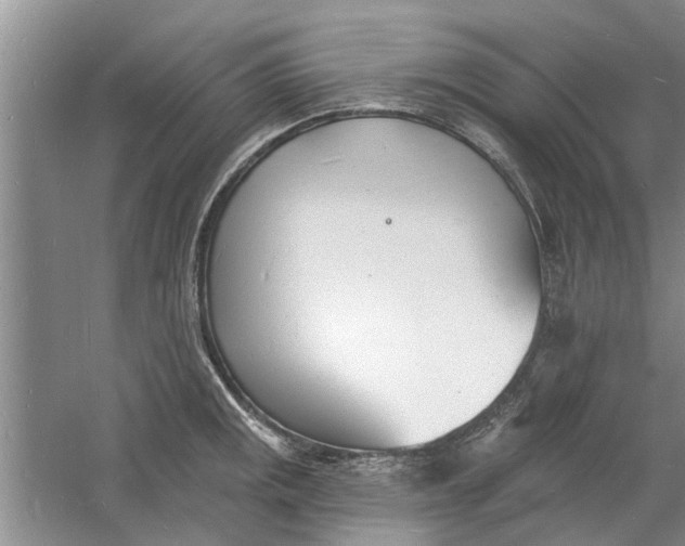 X0000060741141200512011413