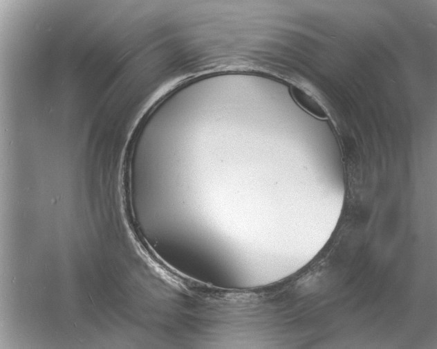 X0000060741142200512011413