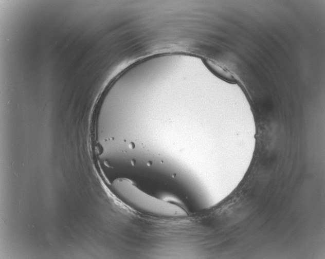 X0000060741143200512011413