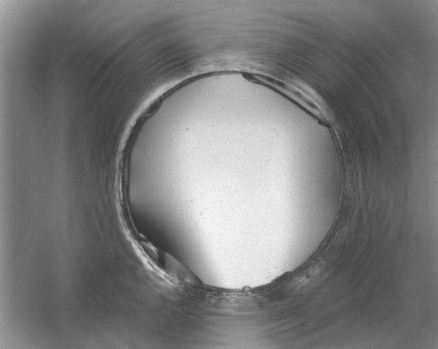 X0000060741144200512011413