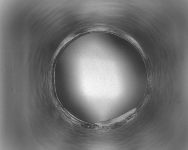 X0000060741146200512011413