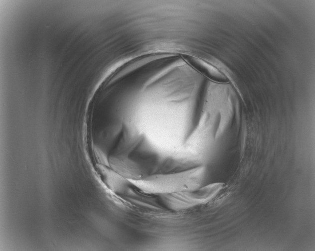 X0000060741147200512011413