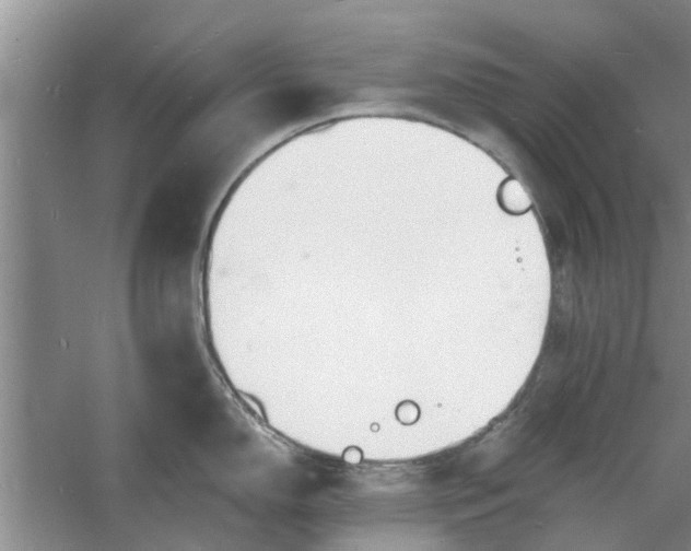 X0000060741150200512011413