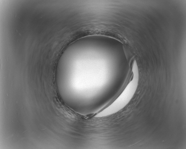 X0000060741153200512011412