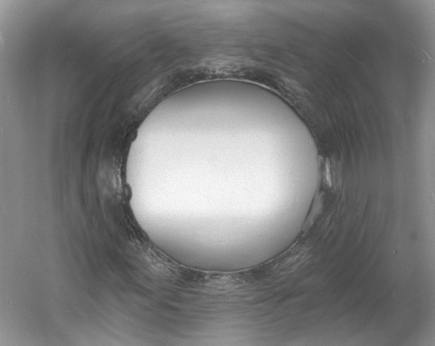 X0000060741155200512011412