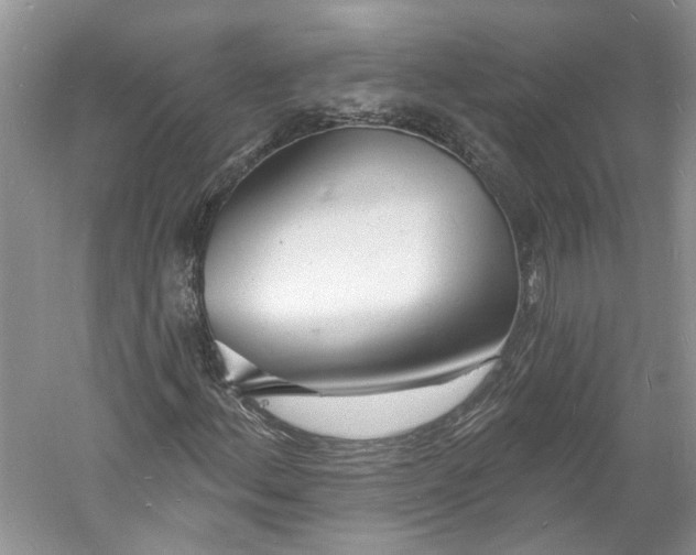 X0000060741156200512011412