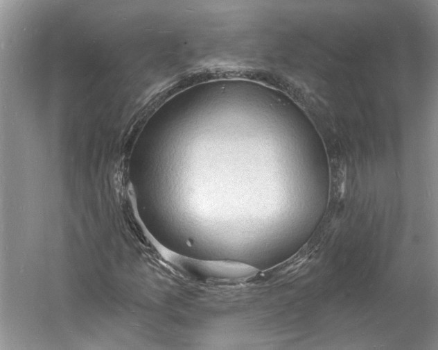 X0000060741157200512011412