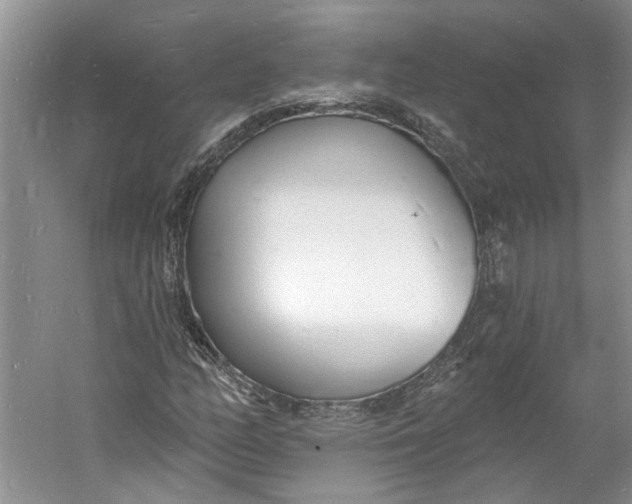 X0000060741158200512011412