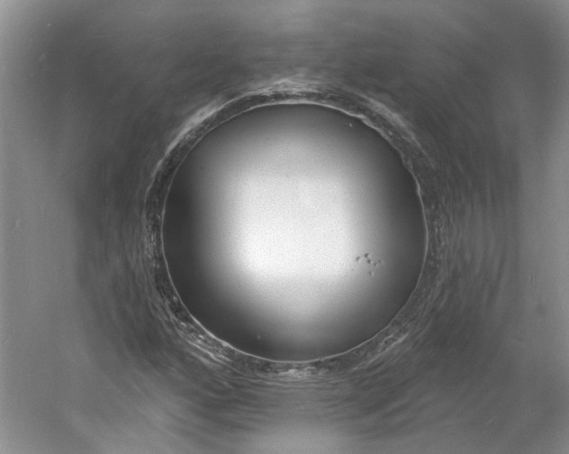 X0000060741160200512011412