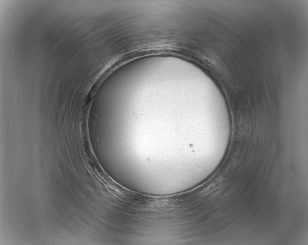 X0000060741162200512011412