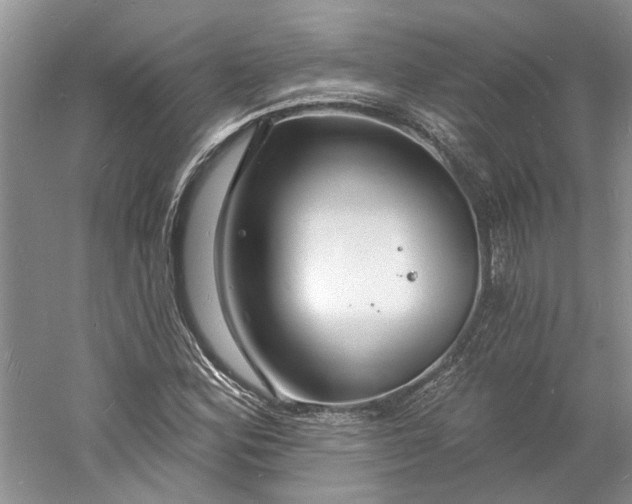 X0000060741164200512011412