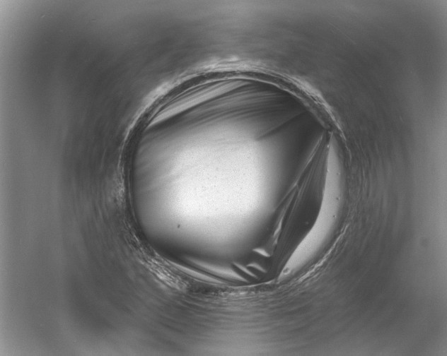 X0000060741167200512011412