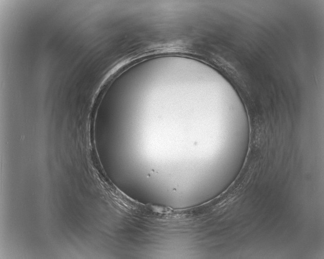 X0000060741174200512011412