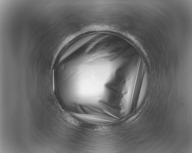 X0000060741175200512011412