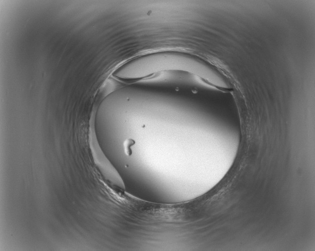 X0000060741177200512011412