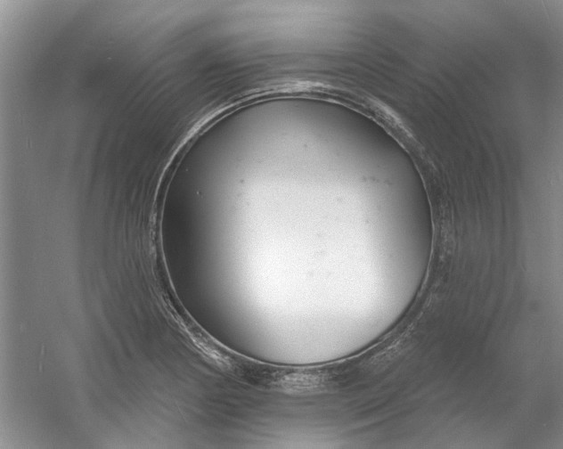 X0000060741178200512011412