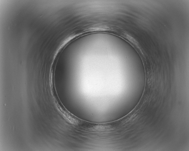 X0000060741179200512011412