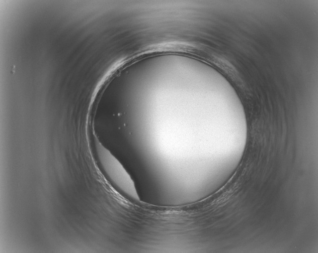 X0000060741180200512011412