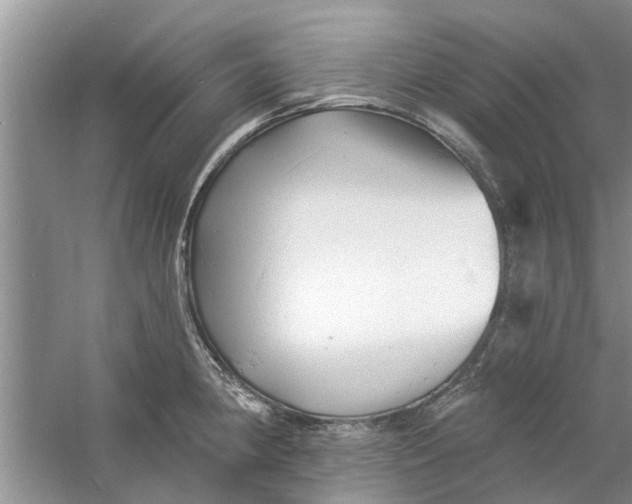 X0000060741190200512011411